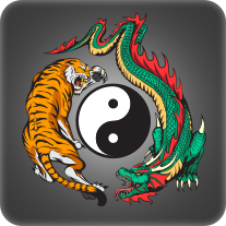 dragontiger dragontiger